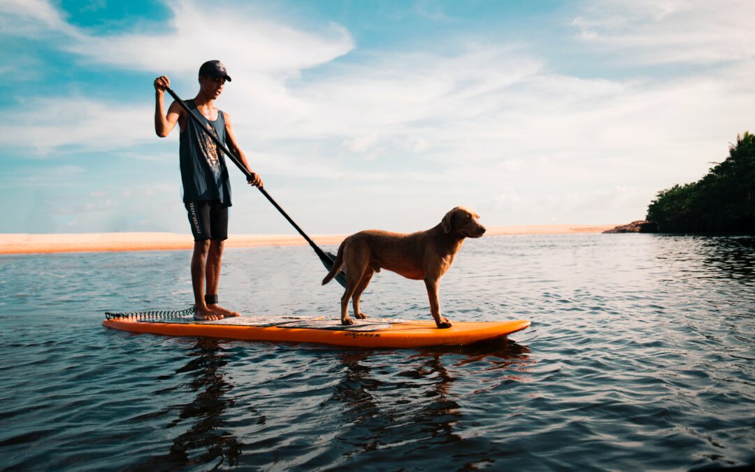 One Step At A Time (Or: More Paddle Boards!)