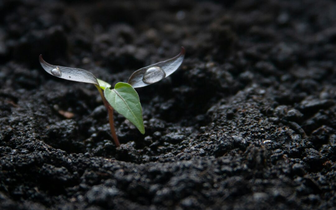The Real Impact of Leadership Isn’t Always Immediate